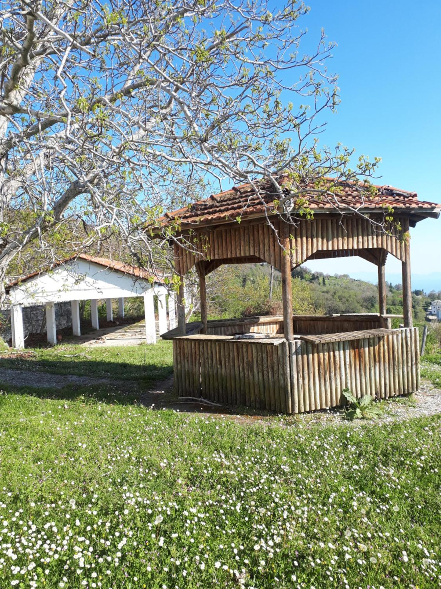 Hotel Αrchontiko Tis Marios à Portariá Extérieur photo